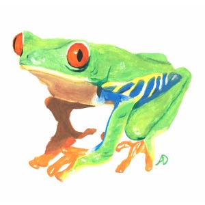 Peut inclure: Une peinture à l'aquarelle d'une rainette aux yeux rouges. La grenouille est verte avec des rayures bleues et jaunes sur le côté, des pieds orange et de grands yeux rouges. La grenouille est sur fond blanc.
