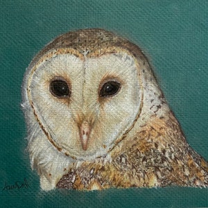May include: A detailed painting of a barn owl's head, featuring a heart-shaped face with dark eyes and a hooked beak. The owl's feathers are a mix of white, brown, and tan hues, set against a teal green background. The artist's signature is in the bottom left corner.
