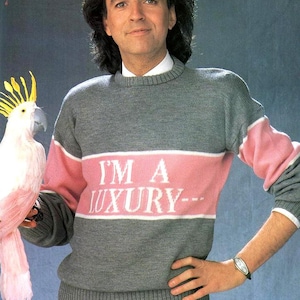 RETIREMENT SALE *** Vintage Knitting Pattern I'm a Luxury Few Can Afford Logo Sweater Christmas Novelty Jumper  1980s Princess Diana