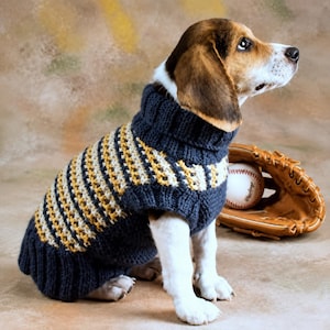 May include: A beagle dog wearing a dark navy blue, mustard yellow, and cream striped knit sweater with a ribbed turtleneck collar. Beside the dog sits a brown leather baseball glove containing a white baseball with red stitching.