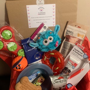 Buds Paw Squad Dog Hamper