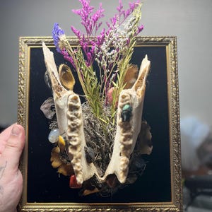 mandible frame
