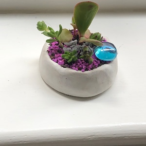 May include: A small white ceramic pot containing a variety of succulents and a blue glass marble. The pot is filled with pink gravel.