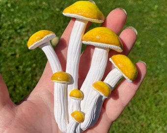 Yellow Cap Mushroom Magnet