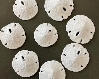 Small Sand Dollars 1" Inch Set of 8 Sandollars