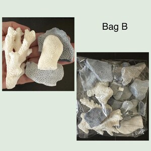 May include: A collection of white and grey porous coral fragments labeled Bag B. The set includes various branch-like and flat, textured pieces with visible holes, presented both individually and packed together in a clear plastic bag.