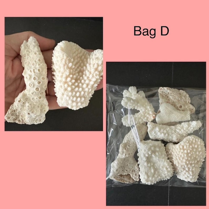 May include: A collection of off-white, textured coral pieces labeled Bag D. The set includes several irregular, porous fragments with distinct bumpy surfaces, displayed both individually and grouped together inside a clear plastic bag.