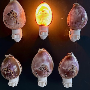May include: Six decorative night lights with seashell-shaped shades. The shades are various shades of purple and brown, with etched designs of marine life. One night light glows yellow, while the others are unlit. Each has a white base.
