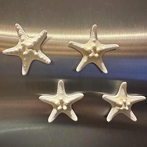 May include: Four off-white starfish decorations with textured surfaces are arranged against a brushed metal background. The starfish have five points and a raised central area, evoking a coastal or nautical theme.