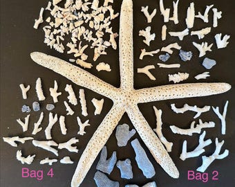 Coral Fragment Pieces Natural Sea Coral Broken Pieces Blue Ridge Coral,Reef Coral, Lace Coral Decor Crafting