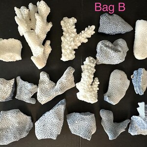 May include: A collection of various white and grey coral fragments with porous textures, arranged on a dark surface. The pieces include branching and flat shapes, with the text Bag B visible in the upper right corner of the image.