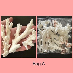 May include: A collection of white, branched coral pieces with textured surfaces. Some pieces are shown individually, while others are grouped together inside a clear plastic bag. The text Bag A is printed below the images of the coral.