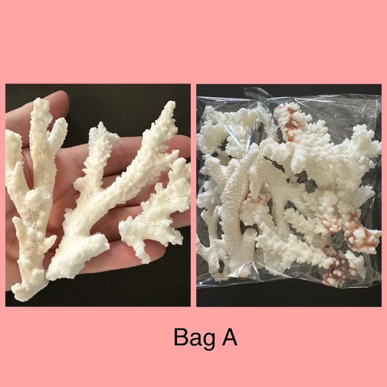 May include: A collection of white, branched coral pieces with textured surfaces. Some pieces are shown individually, while others are grouped together inside a clear plastic bag. The text Bag A is printed below the images of the coral.