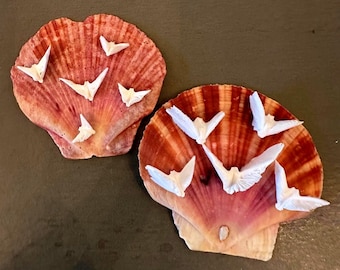 Sand Dollar Doves Peace Doves Assorted Sizes Available Beach Crafts Sanddollar Dove