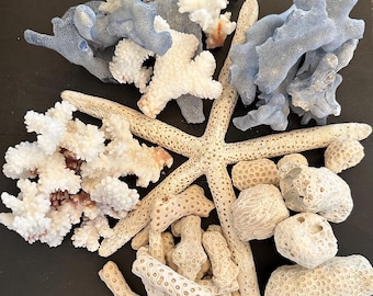 Coral Pieces Assorted Half Pound Natural Sea Coral Blue Coral, Beach Coral, Brown Stem & Blue Ridge Coral Decor Crafting Mixed Coral Pieces