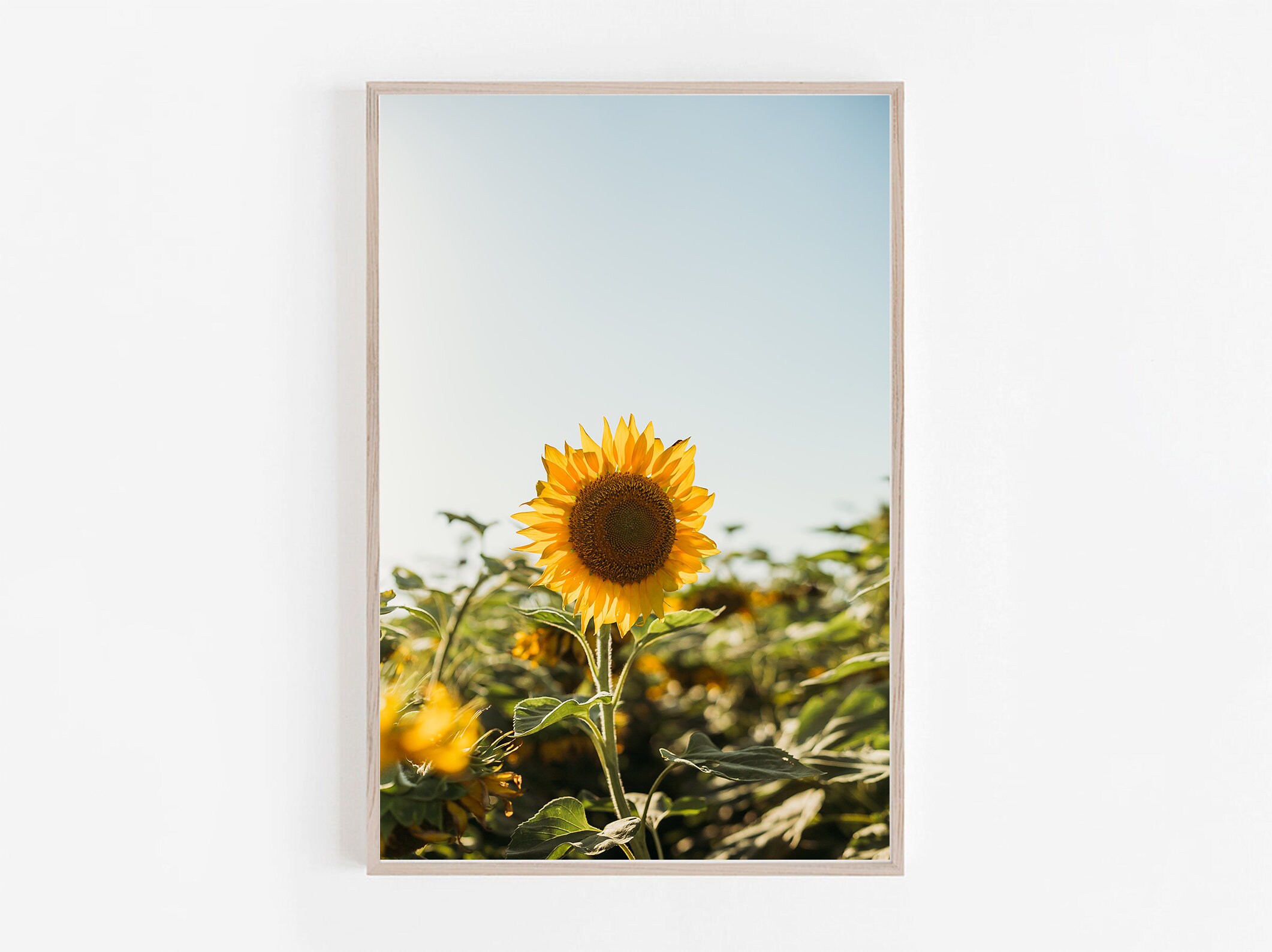 Your the Sunflower Snook TX Etsy