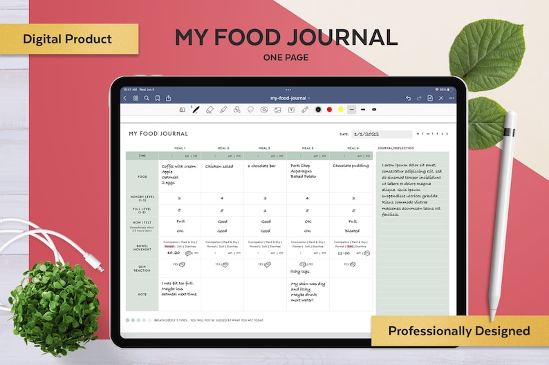 May include: A digital food journal template on a tablet screen. The template includes sections for time, food, energy levels, how you felt, notes, and a journal reflection. The date is 8/1/2023.
