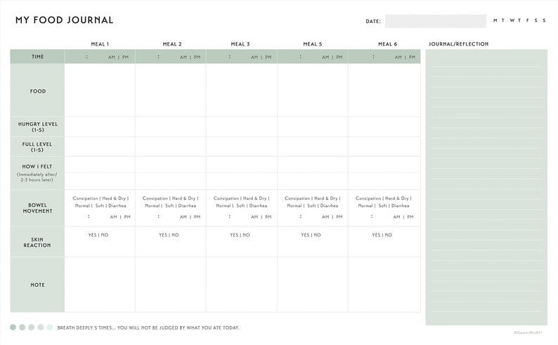 May include: A printable food journal with sections for time, food, hunger level, fullness level, how you felt, bowel movement, skin reaction, and notes. The journal also includes a section for daily reflection and a calendar for tracking meals.