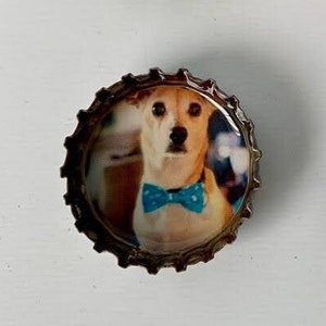 Customized Photo Printed Bottle Cap Magnets - Set of 6