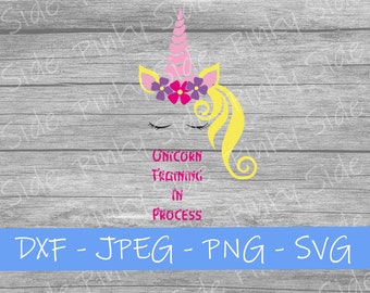 Unicorn I Unicorn Training
