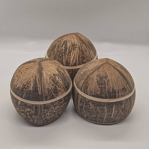 Handmade coconut shell container with cover (3pcs)