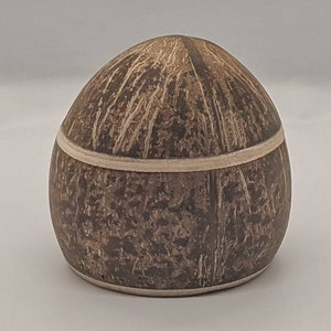 Handmade coconut shell container with cover