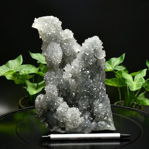 Collector Specimen Apophyllite Stalactite Formation on Blue-Gray Chalcedony 3.57lbs