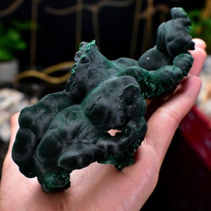 Samt Malachit Grün Botryoid Floater 9.84oz Von Yangchun