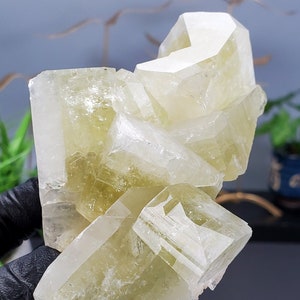 Apophyllite Lemon Green Blocky Apophyllite 10.55oz