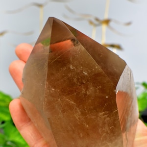 Rauchquarz Rutil 4" Punkt Kristall Mineral Exemplar