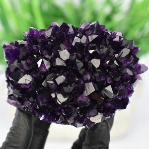 Super Saturated Amethyst Rosette Flower Formation 13.23oz Premium Grade