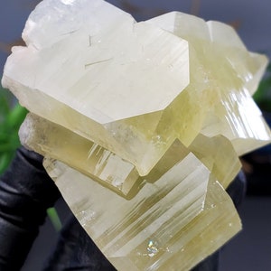 Apophyllite Lemon Green Blocky Apophyllite Crystal 6.35oz