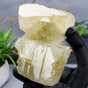 Apophyllite Lemon Green Blocky Apophyllite Crystal 8.82oz