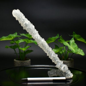 Collector Specimen Apophyllite Stalactite Formation on Blue-Gray Chalcedony 10&quot;