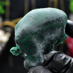 Samt Malachit Grün Botryoid Floater 3mm aus Yanchun