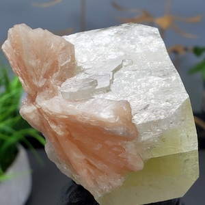 Apophyllite Lemon Green Blocky Apophyllite & Stilbite 7.05oz