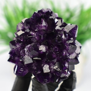 Super Saturated Amethyst Rosette Flower Formation 9.63oz B-Stock