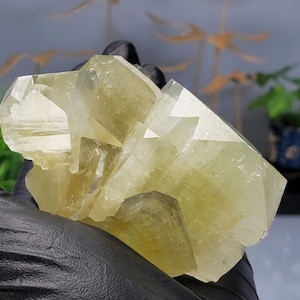 Apophyllite Lemon Green Blocky Apophyllite Crystal 9.91oz