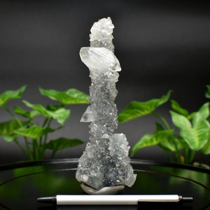 Collector Specimen Apophyllite Stalactite Formation on Blue-Gray Chalcedony 9.74oz