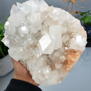 Apophyllite Bi-Pyramidal Crystals Collector Specimen 4.61LBS