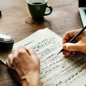 Personalized Song Parody & Audio File Performance