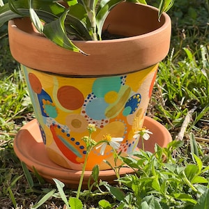 Custom Multi-Colored Painted Terracotta Plant & Flower Pot
