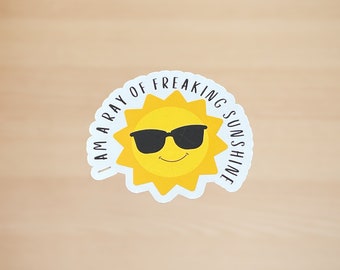 I'm a freaking ray of sunshine sticker, funny, decal, sarcasm, Water bottle sticker, Tumbler Sticker, Laptop Decal, Laptop sticker,