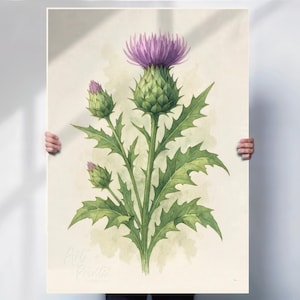 Scottish Thistle wall art print or canvas, botanical flower artwork, nature wall decor, floral art gift for home or office