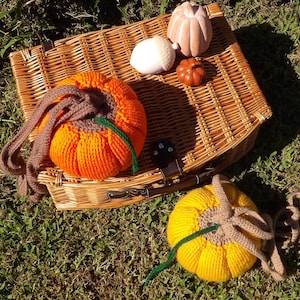 Op de afbeelding: Een rieten picknickmand met een gebreide oranje pompoen, een gebreide gele pompoen en drie kleine decoratieve pompoenen. De mand staat op een groene grasmat.