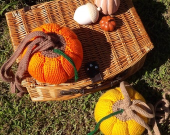 Bolsa de dados de calabaza *Artículo físico*