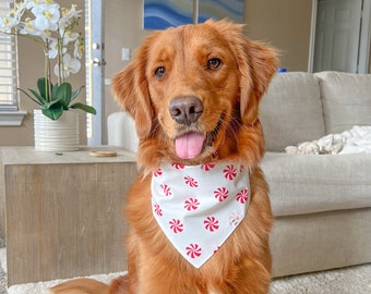 Peppermint Kisses pet bandana w/ snaps