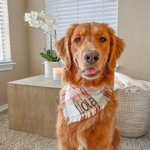 Fall Flannel Dog Bandana with Snaps