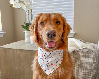 Trick or Treat Dog Bandana with Snaps