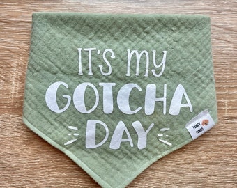 Gotcha Day Dog Bandana